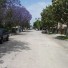 Bloomfield4